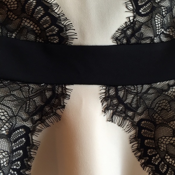 Petite Cream & Black Lace Dress - Picture 3 of 4